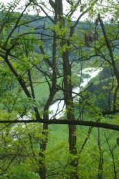 Blick auf die Berounka.