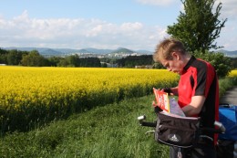 Blühende Rapsfelder vor Ceska Lipa.