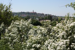 Frühling in Melnik.