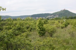 Die Burg Hnevin über Most.