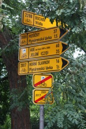 Schild
