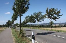 Ockerwitz