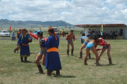 Mongolische Ringer